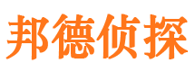 洛隆市侦探公司